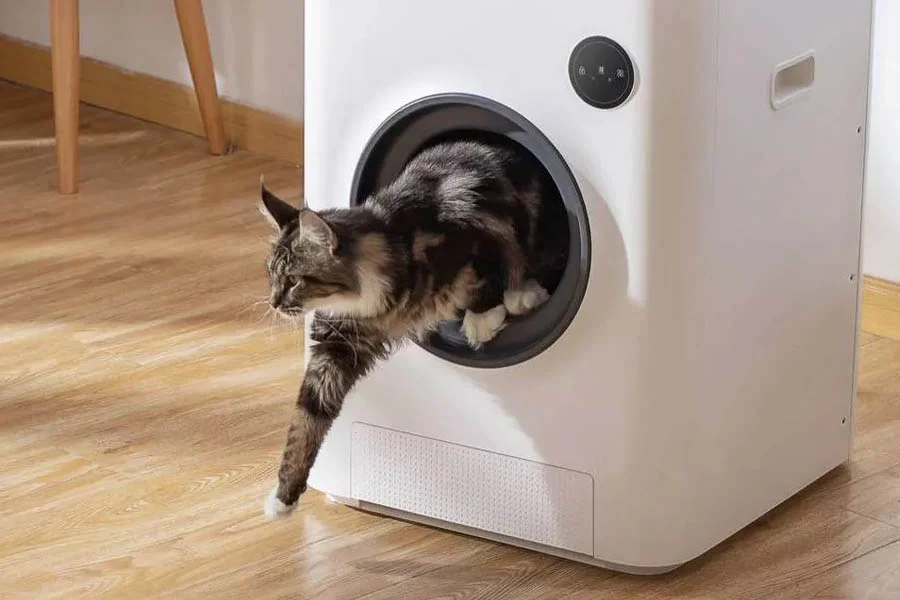 electric litter box for cats